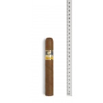 Cohiba Siglo VI (Box 25) ** Out of Stock **