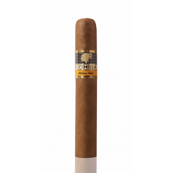 Cohiba Robusto (Singles) 